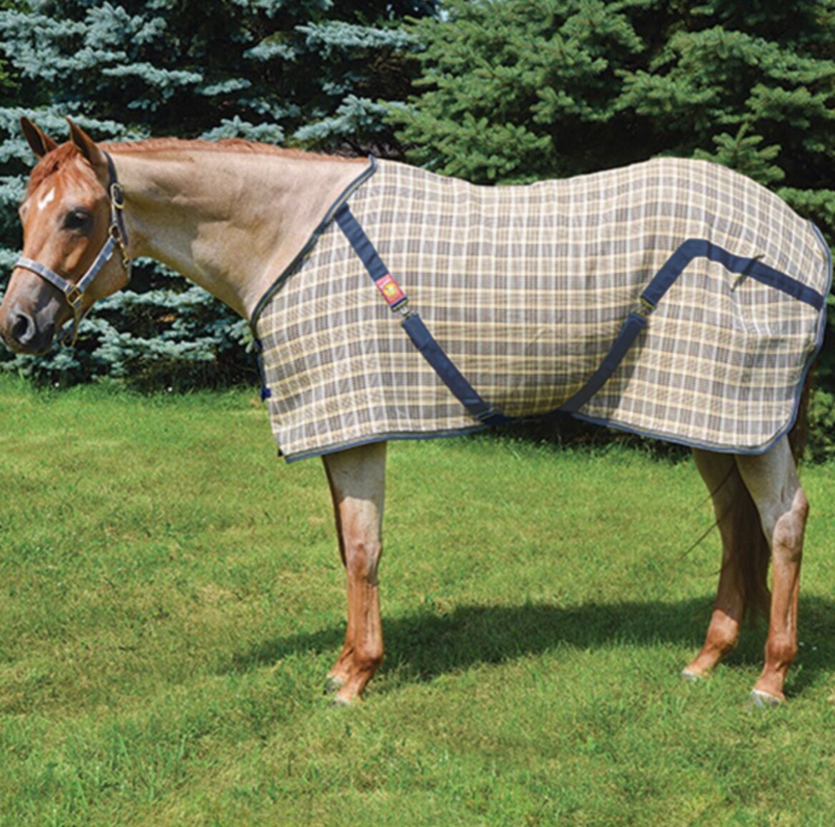 Equestrian Blanket Horse Duvet Cover Equestrian Bedspread Black and Tan Horse Blanket Fabric Custom  Bedding Equestrian Linens